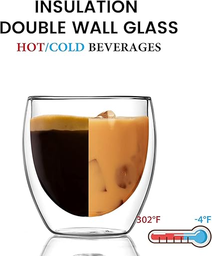 Premium Double-Wall Insulated Borosilicate Glass Cup