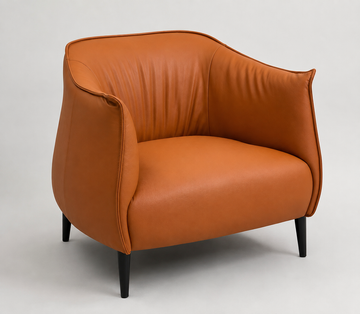 Leisure Chair